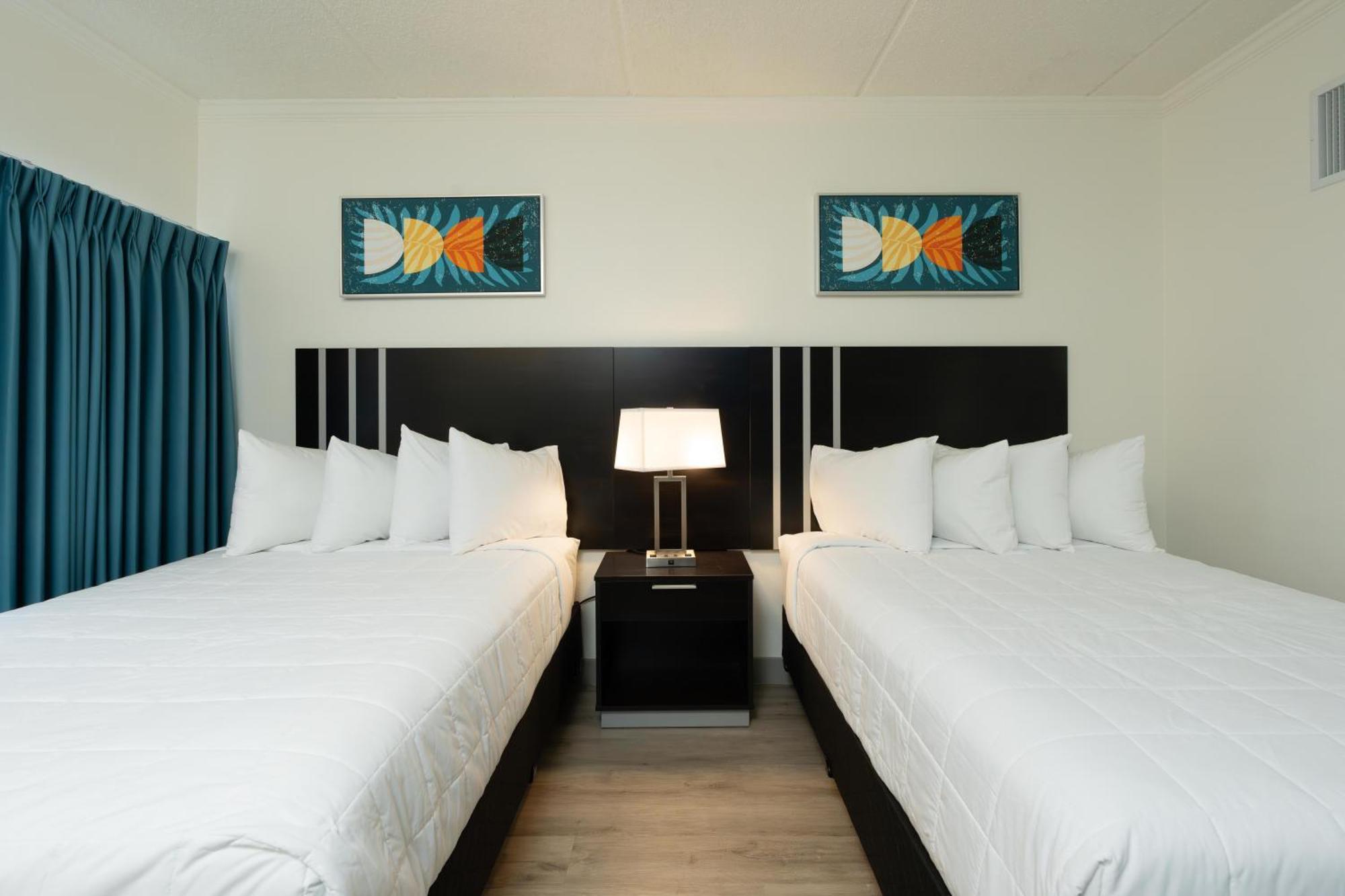 Oasis Bay Suites, Tampa, Busch Gardens, Usf Exteriör bild