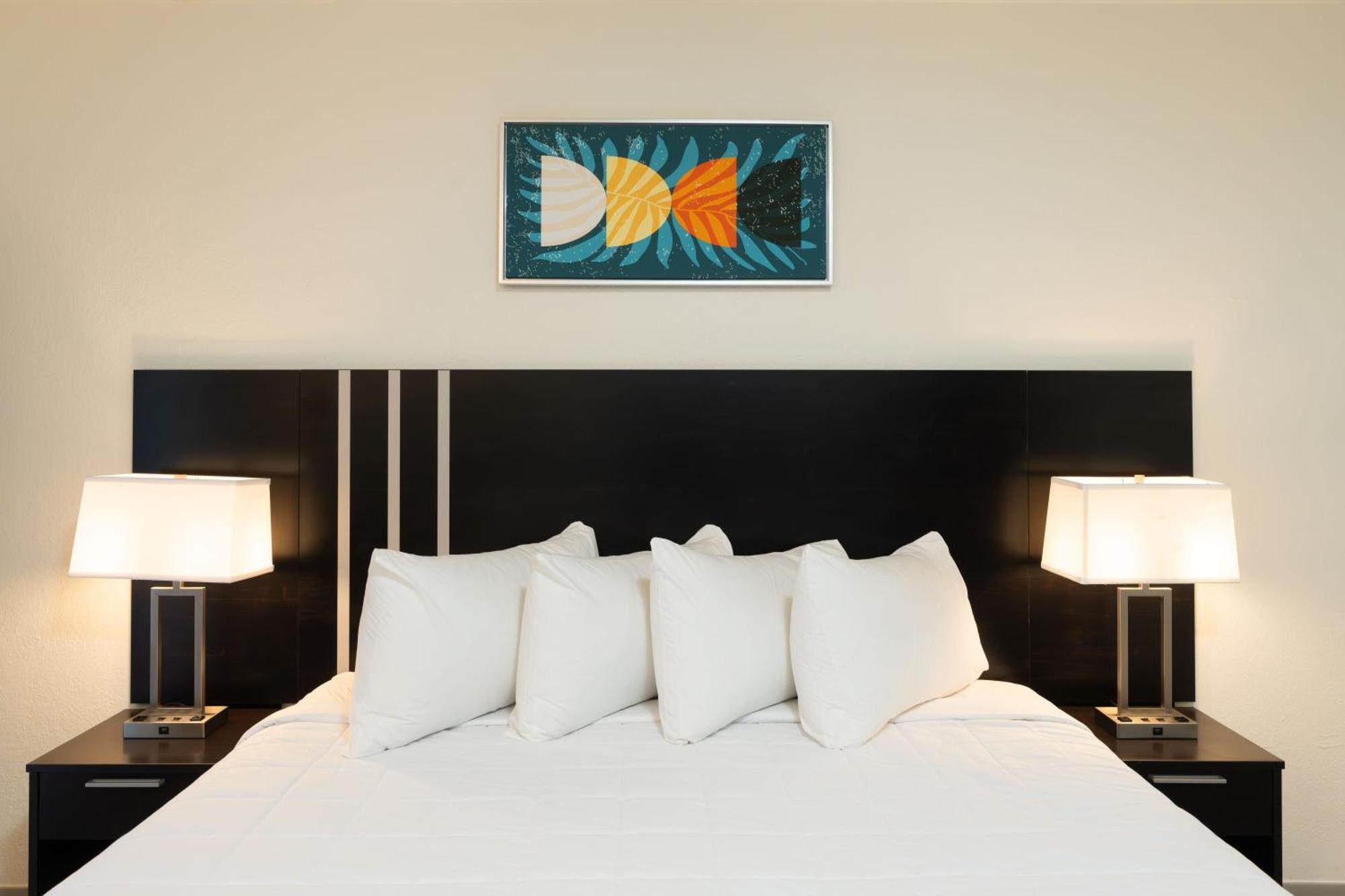 Oasis Bay Suites, Tampa, Busch Gardens, Usf Exteriör bild
