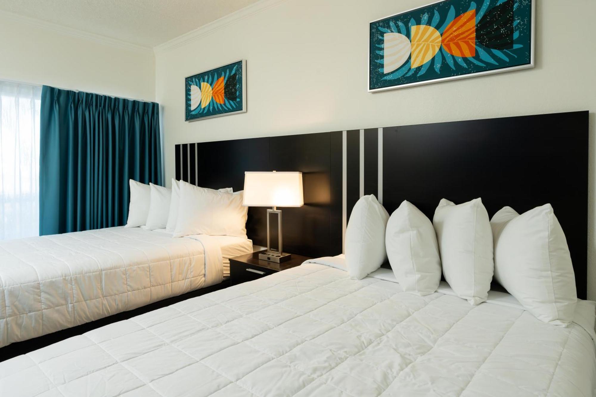 Oasis Bay Suites, Tampa, Busch Gardens, Usf Exteriör bild