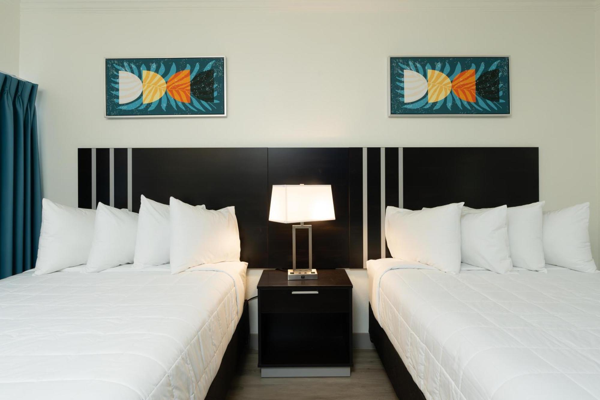 Oasis Bay Suites, Tampa, Busch Gardens, Usf Exteriör bild