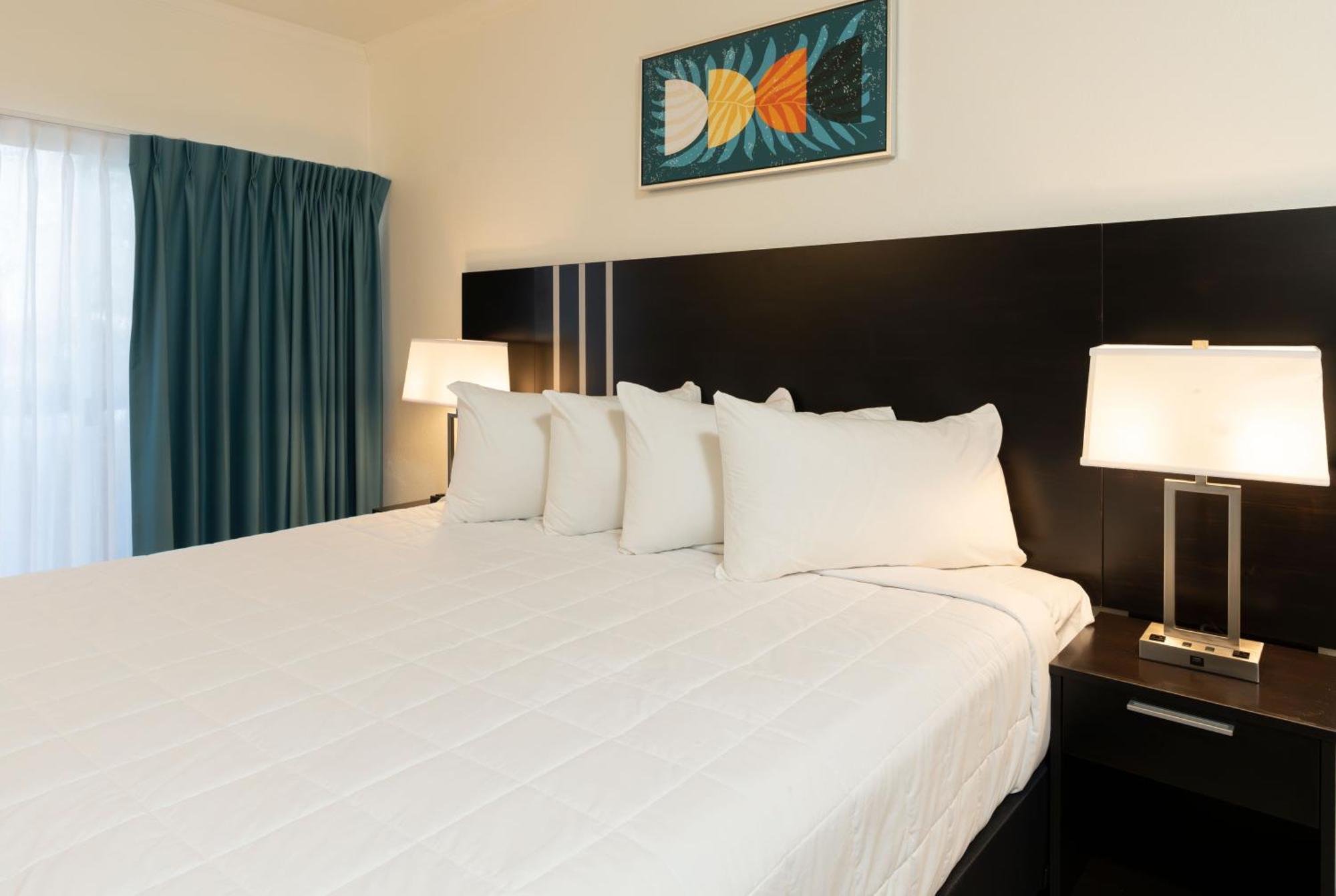 Oasis Bay Suites, Tampa, Busch Gardens, Usf Exteriör bild