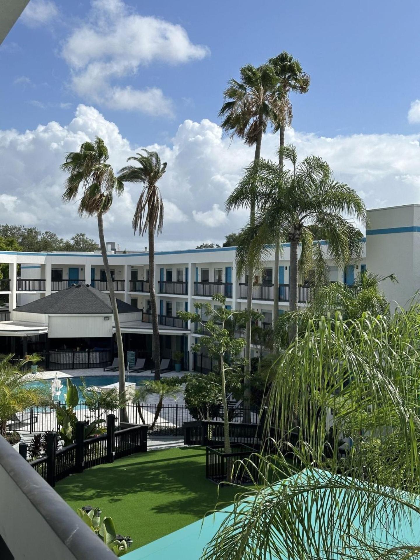 Oasis Bay Suites, Tampa, Busch Gardens, Usf Exteriör bild